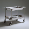 Servierwagen aus Edelstahl mit 2 Tabletts, Silber, 85 x 45 x 85 cm